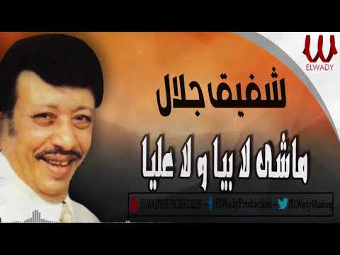 شفيق جلال - ماشي لا بيا ولا عليا / Shafiq Galal  - Mashy La Beya Wla Alaia