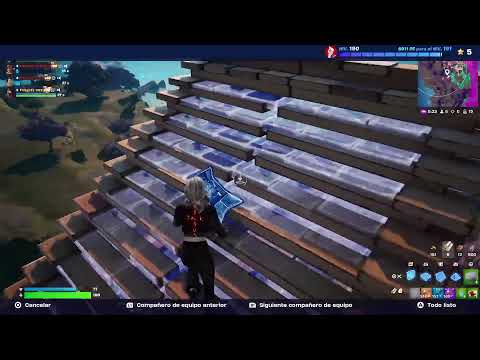 Batalla campal privado Fortnite por un regalo