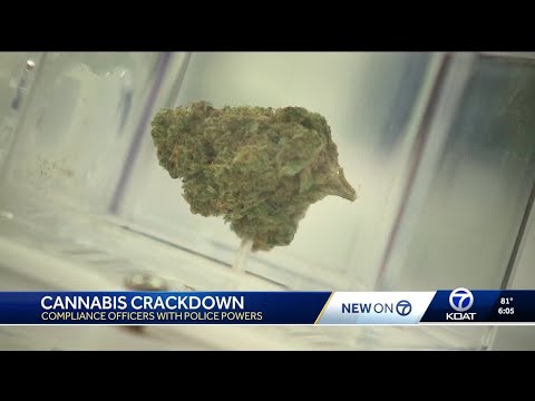 YouTube video thumbnail: Compliance Officers to Help Crack Down on Illegal Cannabis in New Mexico
