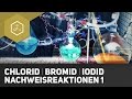 nachweis-chlor-brom-iod-halogennachweis/