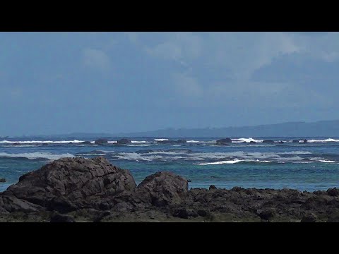 南の島のち秋が来た