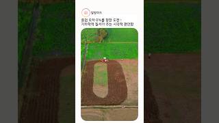 마인크래프트 농사 짓기🌱 #shorts