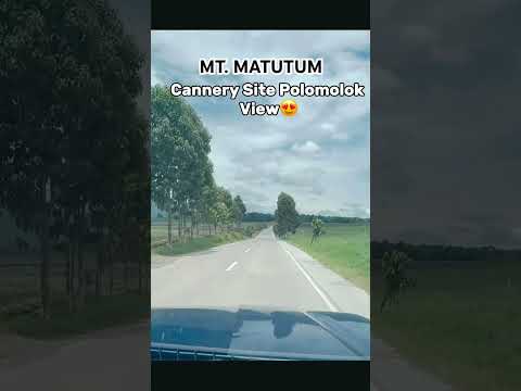 MOUNT MATUTUM CANERRY POLOMOLOK #fypage #trending #viralvideo #ctto #mountains #shorts #travel #life