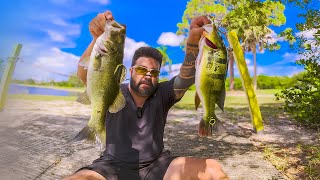 Cacei 2 grande peixes com apenas 2 Disparos, Preparei na Brasa
