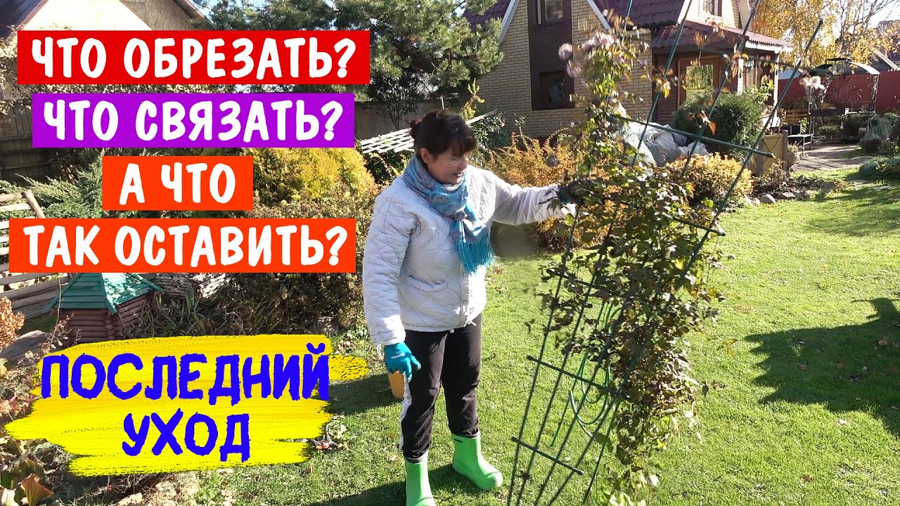 25 октября 2024г. РЕЖУ ВСЁ! Не умеете Присоединяйтесь! Научу!