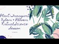 Plant Adaptations and Transport Processes