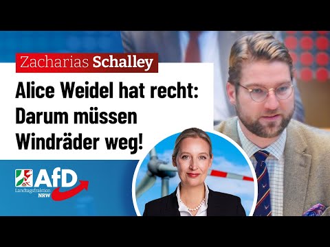 Darum hat Alice Weidel recht! – Zacharias Schalley (AfD)