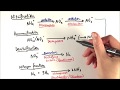 Understanding the Nitrogen Cycle