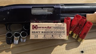 What's The Best Choke? - Hornady Heavy Magnum Coyote 12 Pellet 00 Buck Test W/ Mossberg 500