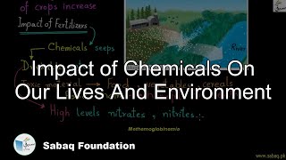 Impact of Chemicals On Our Lives And Environment