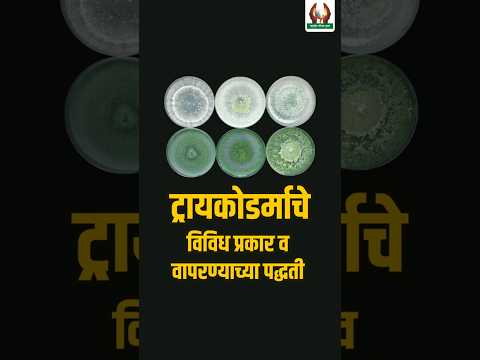 ट्रायकोडर्माचे विविध प्रकार व वापरण्याच्या पद्धती