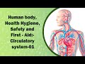 Human Body Systems and Functions
