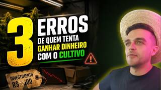 3 erros de quem tenta ganhar dinheiro com o cultivo