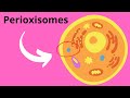Peroxisomes and Their Functions