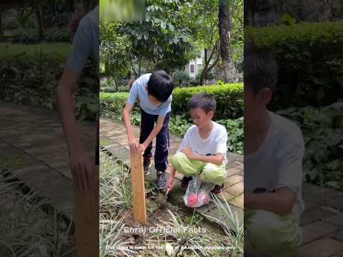 चिंटू का कछुआ ~ mini wood toy - woodworking arts skill / wood / hand crafts / #shorts