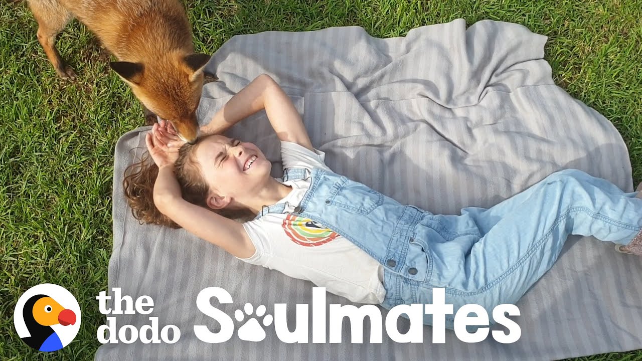 Little Girl And Her Rescued Fox Are Best Friends Soulmates