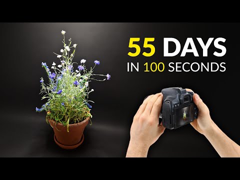 I grew flowers and filmed it for 55 days