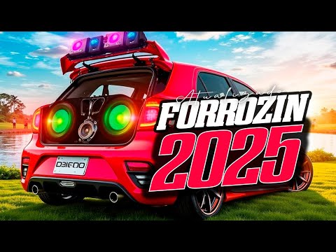 PISADINHA 100 LIMITE 2025 CD NOVO REPERTÓRIO ATUALIZADO DE JULHO 2025 SELEÇÃO DE PISEIRO 2025 TOP 10