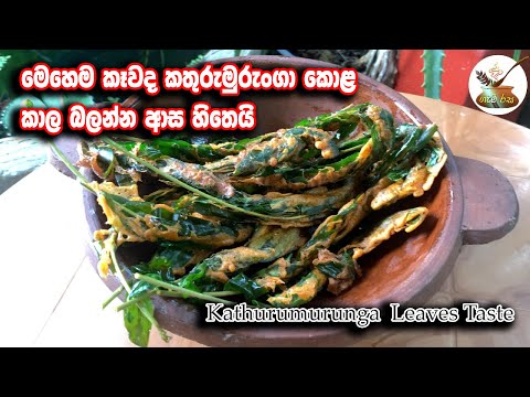 මෙහෙමත් බදින්න කතුරුමුරුංගා කොළ Fry kathurumurunga leaves like this