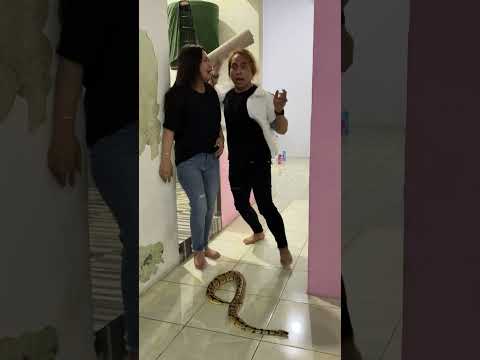 Kok jdi dia yang takut