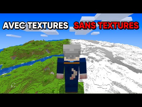 Peut-on Finir Minecraft en Supprimant TOUTES les Textures ?