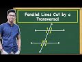 Exploring Angles in Transversals and Parallel Lines