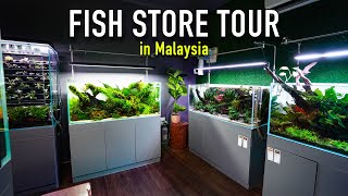 This Fish Store has EVERYTHING & MORE! Malaysian Fish Store Tour