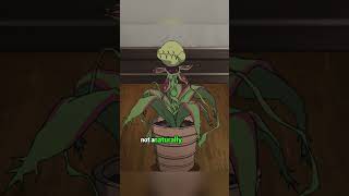 Why was Rudeus so certain that the watermelon came from Earth？  #MushokuTensei