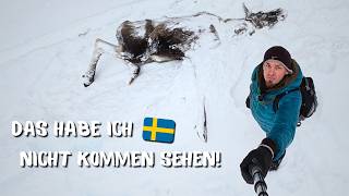 Konflikt mit dem Nachbarn endet mit totem Elch [Das Schild am Iglu - Teil 3]