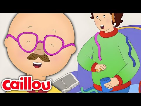 Caillou the Prankster | Caillou's New Adventures | Season 3: Episode 18