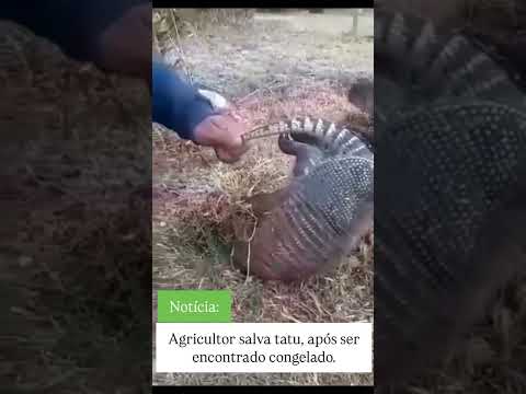 fez tanto frio que só deu para entra a metade a outra metade congelou,muito frio