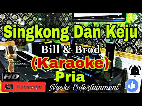 SINGKONG DAN KEJU - ARIE WIBOWO / BILL & BROD (Karaoke) Nada Pria || DIS minor