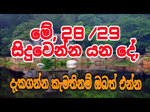 මේ 28/29 සිද්ද වෙන්න යන දේ, දෑසින් දැකගන්න ඔබත් එන්න #siwhelatv