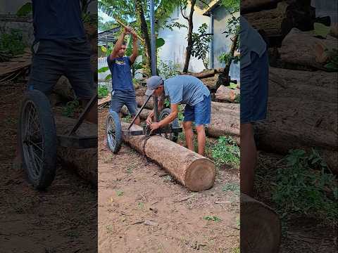 Satisfying Log Lifting Technique #shorts #wood #genius #woodworking