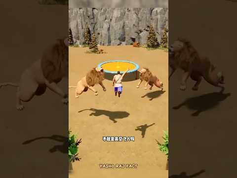 पापा जल्दी बचाओ यहां पर दो दो शेर आ गए | #shorts #shortvideo #shortsfeed