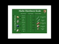 Mineral Identification and Narrator's Actions