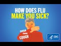 Understanding Flu and Its Prevention