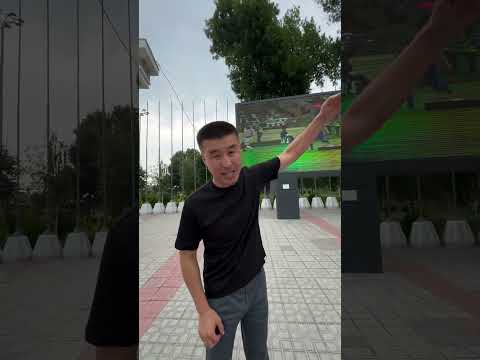 13 июня 2025 г.