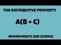 Understanding the Distributive Property