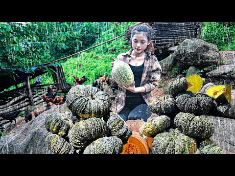 Despite heavy rains to harvest giant forest fruits - Living off grid - Ms Yang