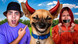 Mi PERRO 🐶 DECIDE mi DÍA 🌞 24 HRS *extremo* 🧨