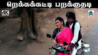 Rekkaikatti parakkuthadi தேவா இசையில் SPB, சித்ரா பாடிய பாடல் றெக்கைகட்டி பறக்குதடி