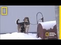 Village Life in Elim, Alaska