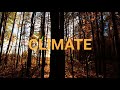 Understanding Temperate Climates and Their Characteristics