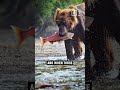 Ecosystem Connections in the Pacific Northwest