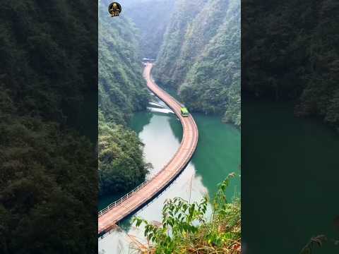 📊 "Built for 50,000 Tourists: The Floating Bridge of Wonders! 🧍🌉🌊📸 #shortsfeed #shorts #viral