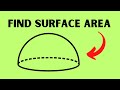 Surface Area and Volume Concepts
