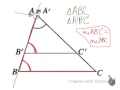 Triangle Similarity and AA Criterion