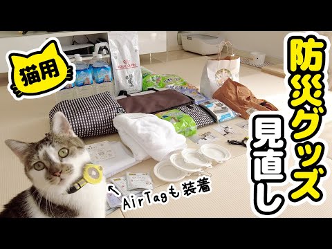 南海トラフ地震が話題なので猫用防災グッズを一式買いそろえました