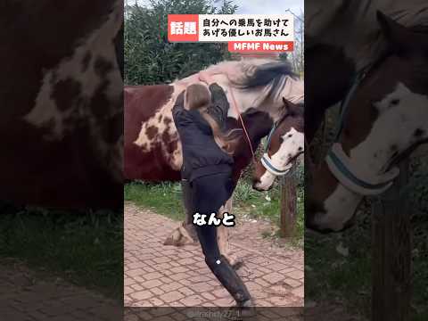自分への乗馬を助けてあげるお馬さん。